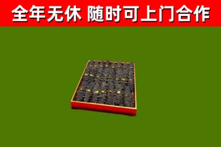 巴音郭楞回收海参